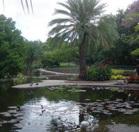 Brisbane City Botanic Gardens - eAccommodation