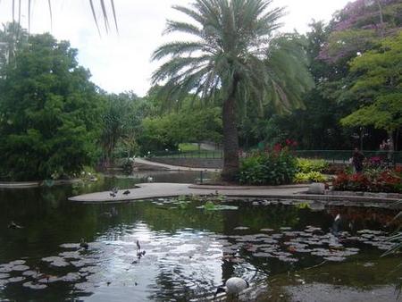 Brisbane City Botanic Gardens - eAccommodation 0