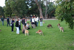 Caversham Wildlife Park - eAccommodation 2