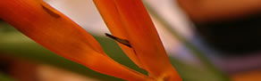Arncliffe NSW eAccommodation