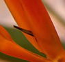 Zen Day Spa - eAccommodation