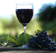 Lion Mill Vineyards - eAccommodation