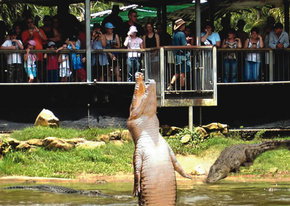 Crocodylus Park - eAccommodation 2