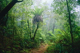 Illinbah QLD eAccommodation