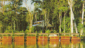Daintree Rainforest River Trains - eAccommodation 3
