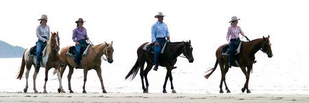 Wonga QLD eAccommodation