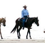 Ride the Beach - eAccommodation