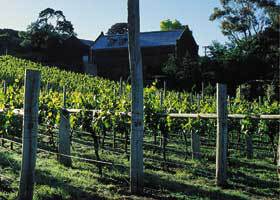 Goona Warra Vineyard - eAccommodation 1