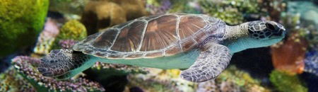 Melbourne Aquarium - eAccommodation 1