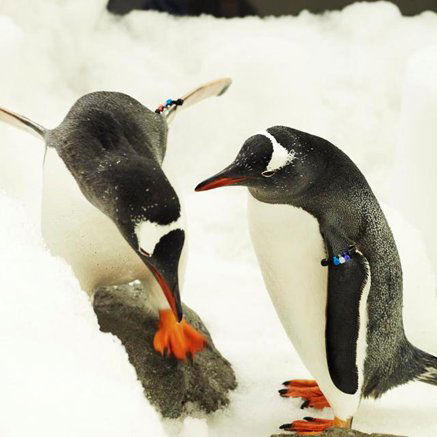 Melbourne Aquarium - eAccommodation 3