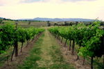 Link Tours - eAccommodation 2