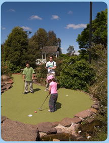 Wheelers Hill VIC eAccommodation