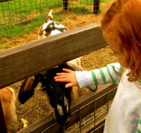 Collingwood Children's Farm - eAccommodation