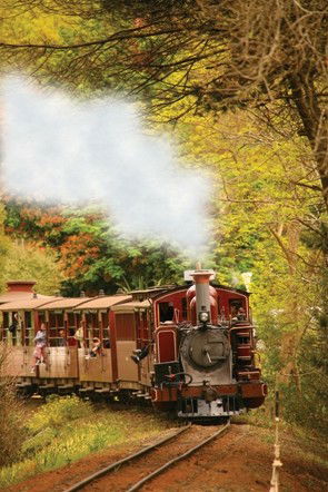 Puffing Billy - eAccommodation 5