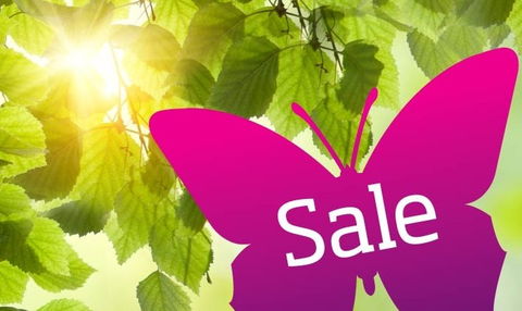 Wintergarden Shopping Centre - eAccommodation 0