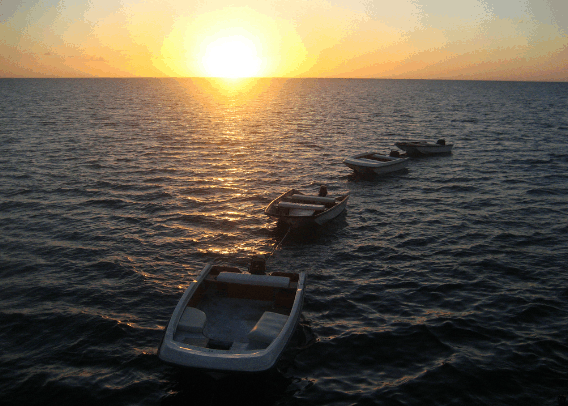Carlo Fishing Charters - eAccommodation 2