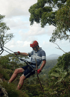 Adventures Around Brisbane - eAccommodation