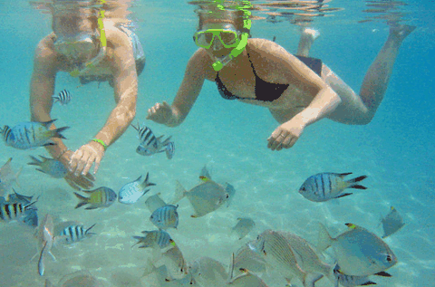 Australian Kayaking Adventures - eAccommodation 2