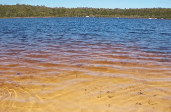 Beach Trekkers North Stradbroke Island - eAccommodation 1