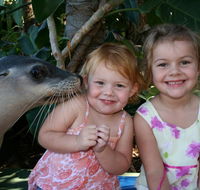 Dolphin Marine Magic - eAccommodation