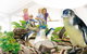 Manly SEA LIFE Sanctuary - thumb 1