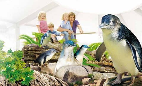 Manly SEA LIFE Sanctuary - eAccommodation 1