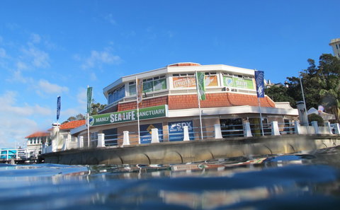 Manly SEA LIFE Sanctuary - eAccommodation 2