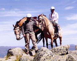 High Country Horses - eAccommodation 3
