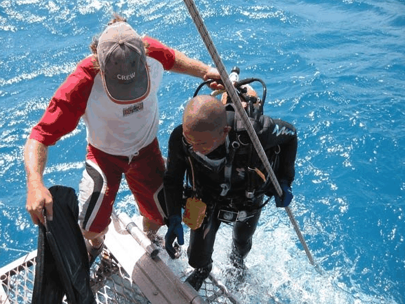 Big Cat Reality - eAccommodation 2