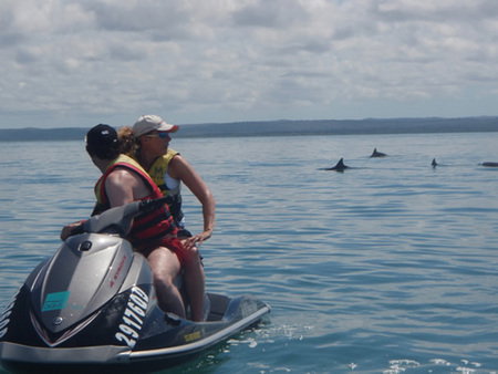 Aquavue Cafe Watersports - eAccommodation 5