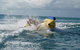 Aquavue Cafe Watersports - thumb 9