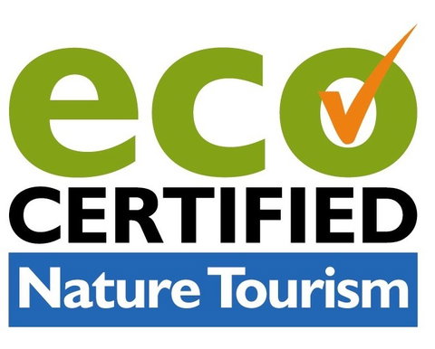 Aquascene Fish Feeding Sanctuary - eAccommodation 4