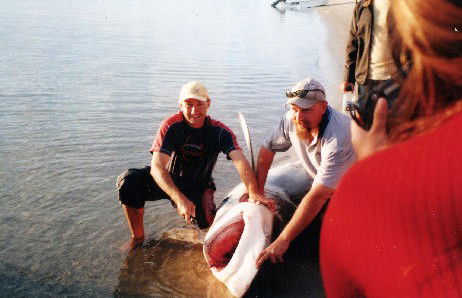 True Blue Fishing Charters - eAccommodation 1