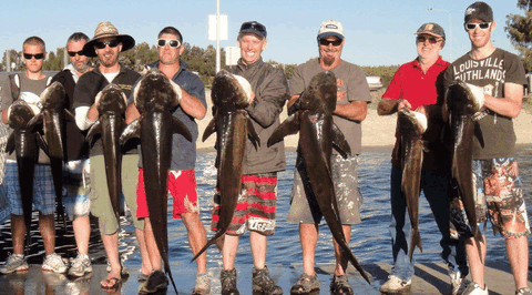 BKs Gold Coast Fishing Charters - eAccommodation 1