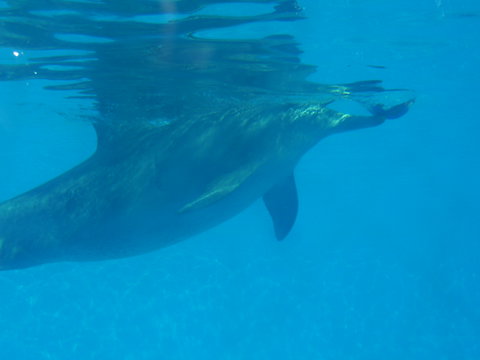 Clarence River BBQ Boats - eAccommodation 2