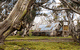 High Country Scenic Tours - thumb 0