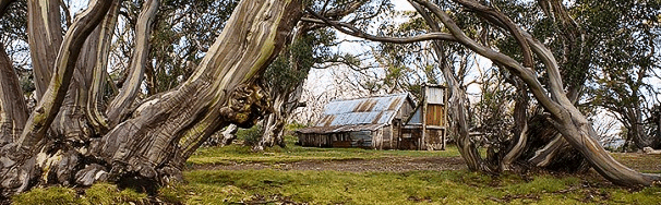 High Country Scenic Tours - eAccommodation
