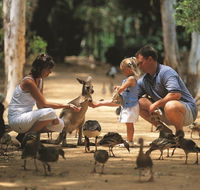 Billabong Sanctuary - eAccommodation