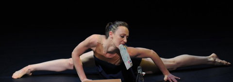 Expressions Dance Company - eAccommodation 2