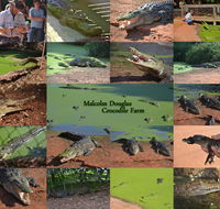 The Malcolm Douglas Crocodile Park - eAccommodation