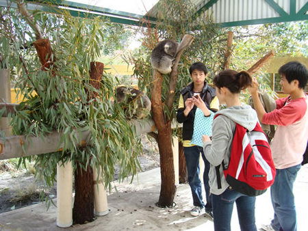 Caversham Wildlife Park - eAccommodation 4