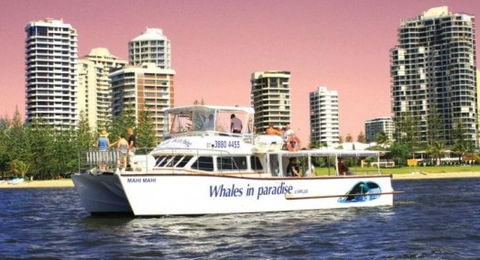 Australian Whale Watching - eAccommodation 8