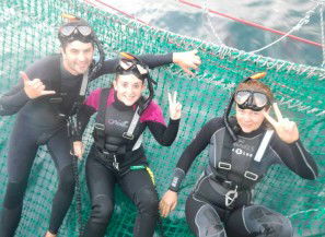 Dolphin Swim Australia - eAccommodation 7