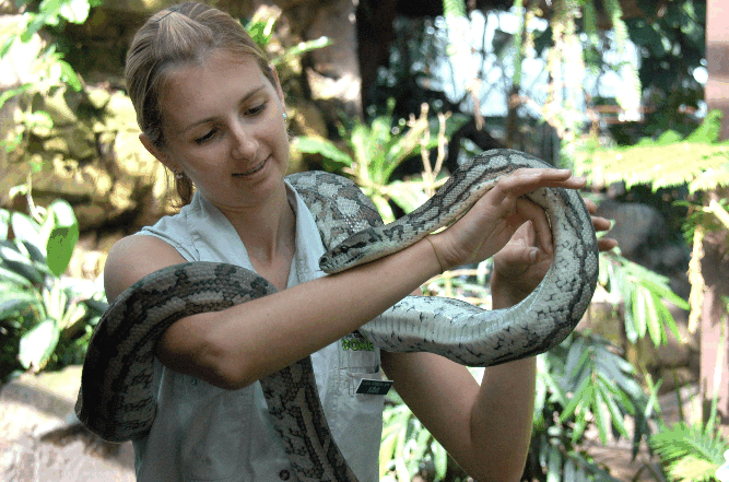 Cairns Wildlife Dome - eAccommodation 2