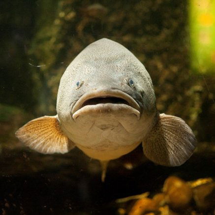 Melbourne Aquarium - eAccommodation 5