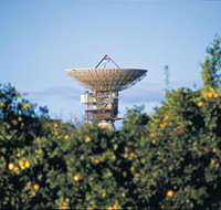 Big Dish - eAccommodation
