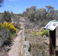 Christmas Rock Walk - eAccommodation