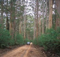 Boranup Drive - eAccommodation