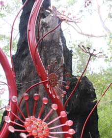 Boorara Brook WA eAccommodation