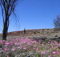 Talgomine Reserve - eAccommodation